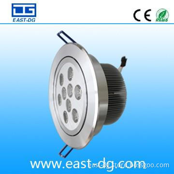beautiful ceiling and  Domestic Lighting  led down light